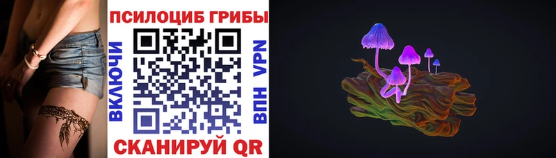 Купить где  Морозовск  Галлюциногенные грибы Cubensis 